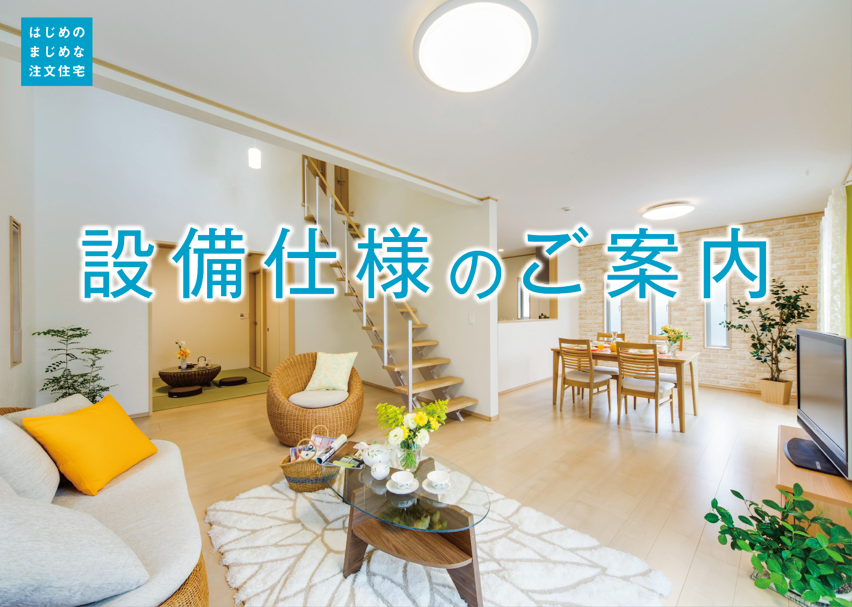 新着_0516_A