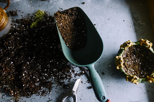 gardening-690940_640