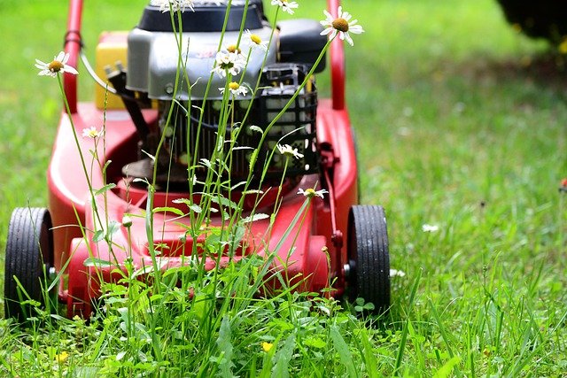 lawn-mower-5329533_640